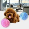 Active Rolling Ball Pet Toy