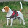 Back Padding No Pull Dog Harness