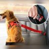 Dog Safety Seat Belt