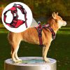 Dual Padding No Pull Dog Harness